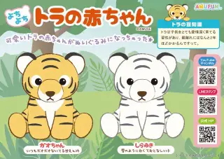 よちよちトラの赤ちゃんの画像