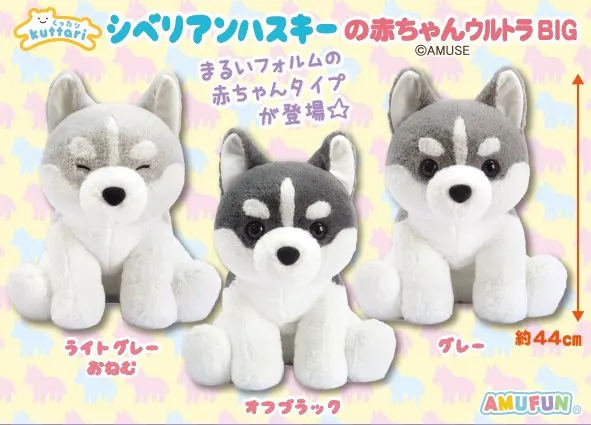 くったりシベリアンハスキーの赤ちゃん ラインナップ 2
