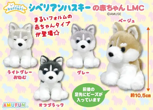 くったりシベリアンハスキーの赤ちゃん ラインナップ 6