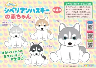 くったりシベリアンハスキーの赤ちゃんの画像