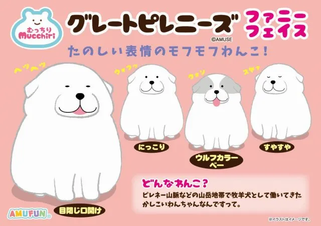 むっちりグレートピレニーズファニーフェイスの台紙