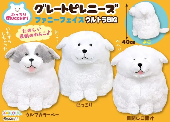 むっちりグレートピレニーズファニーフェイス ラインナップ 1