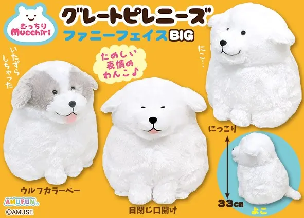 むっちりグレートピレニーズファニーフェイス ラインナップ 2