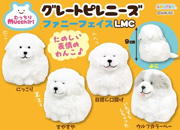 むっちりグレートピレニーズファニーフェイス ラインナップ 5