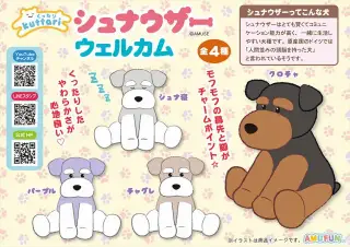 くったりシュナウザーウェルカムの画像
