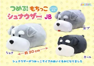つめる！もちっこシュナウザーの画像