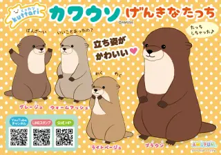 くったりカワウソげんきなたっちの画像