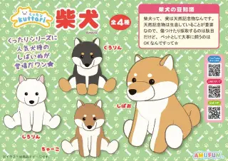 くったり柴犬の画像