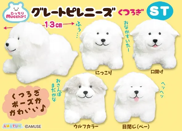 むっちりグレートピレニーズくつろぎ ラインナップ 3