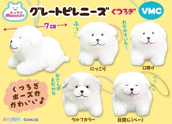 むっちりグレートピレニーズくつろぎ ラインナップ 5