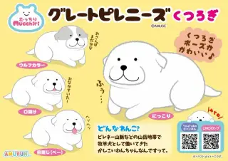 むっちりグレートピレニーズくつろぎの画像