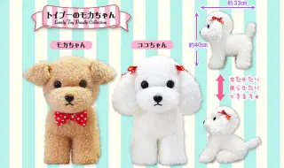 トイプーのモカちゃんおりぼんの画像