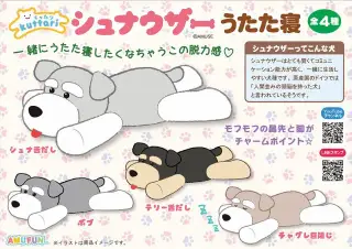 くったりシュナウザーうたた寝の画像