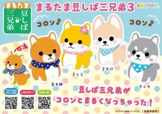 まるたま豆しば三兄弟3の画像