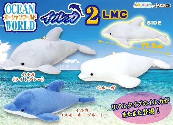オーシャンワールドイルカ2 ラインナップ 5