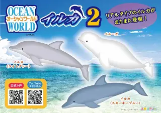 オーシャンワールドイルカ2の画像