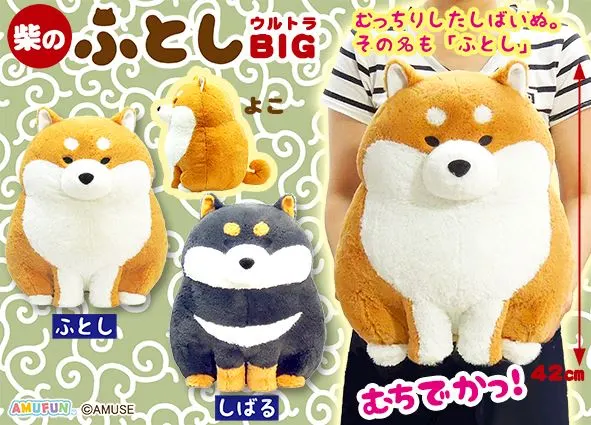 柴のふとし ラインナップ 1