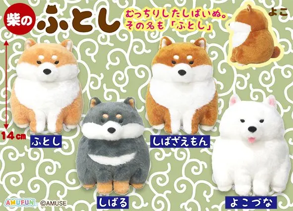 柴のふとし ラインナップ 3