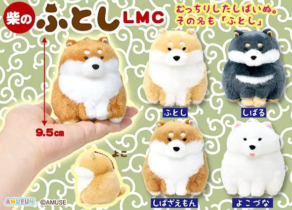 柴のふとし ラインナップ 4