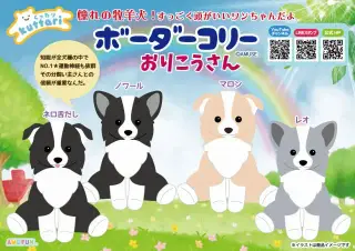 くったりボーダーコリーおりこうさんの画像