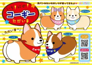 いちにのコーギーただいまの画像