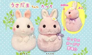 うさだまちゃんたっちの画像