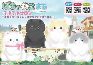 ぽちゃねこまるふわふわサロンの画像