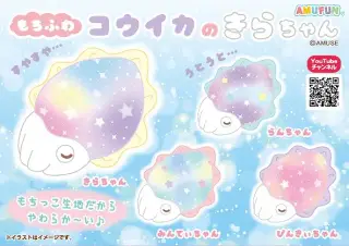 もちふわコウイカのきらちゃんの画像