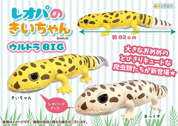 レオパのきいちゃん ラインナップ 1