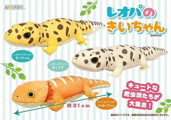 レオパのきいちゃん ラインナップ 2