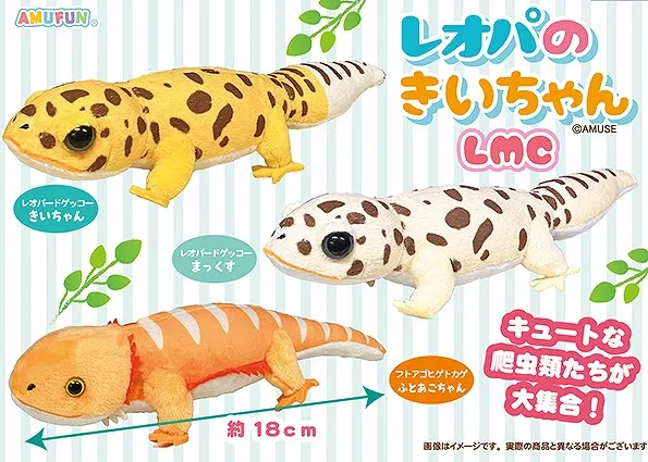 レオパのきいちゃん ラインナップ 3
