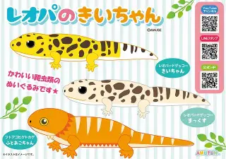 レオパのきいちゃんの画像