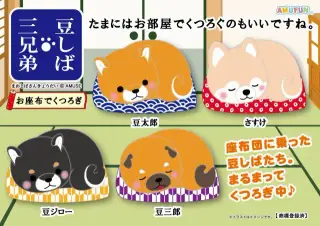 豆しば三兄弟お座布でくつろぎの画像