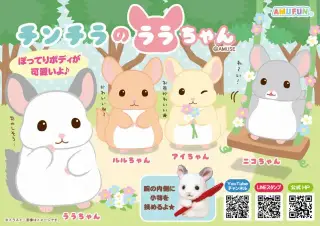 チンチラのララちゃんの画像