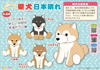 くったり柴犬日本晴れの画像
