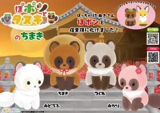 ぽポンとタヌキのちまきの画像