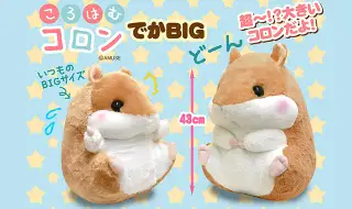 ころはむコロンでかBIGと雑貨いろいろの画像