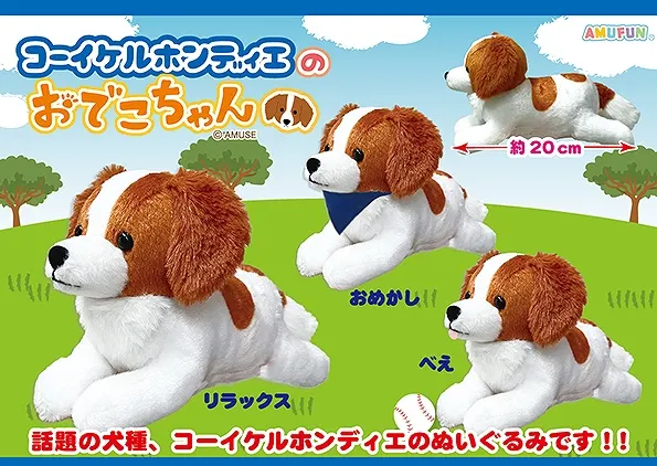 コーイケルホンディエのおでこちゃん ラインナップ 3