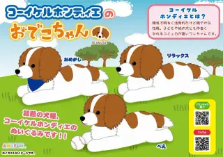 コーイケルホンディエのおでこちゃんの画像