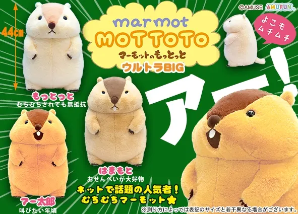 マーモットのもっとっと ラインナップ 1