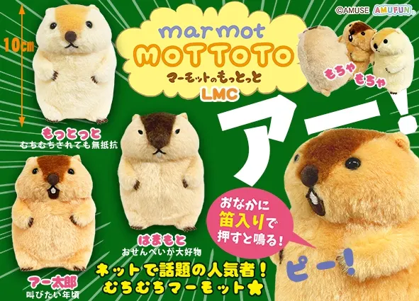マーモットのもっとっと ラインナップ 3