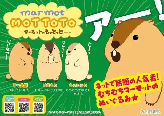 マーモットのもっとっとの画像