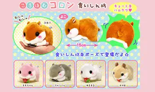ころはむコロン食いしん坊の画像