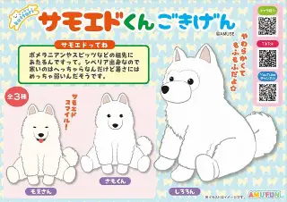 くったりサモエドくんごきげんの画像