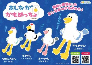 あしながかもめっちょの画像