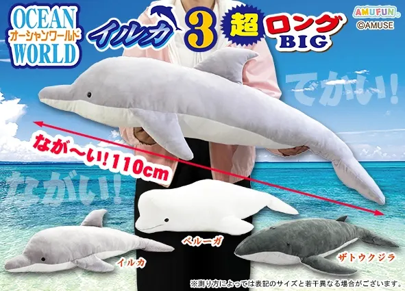 オーシャンワールドイルカ3 ラインナップ 1