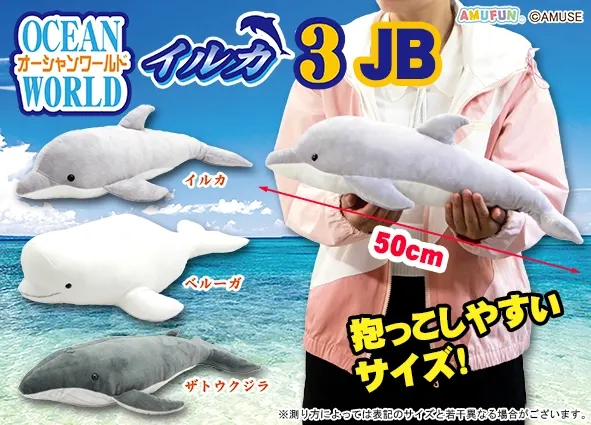オーシャンワールドイルカ3 ラインナップ 2