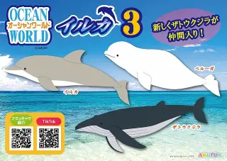 オーシャンワールドイルカ3の画像