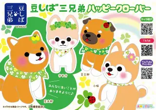 豆しば三兄弟ハッピークローバーの画像