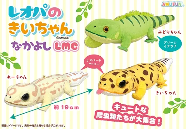 レオパのきいちゃんなかよし ラインナップ 4